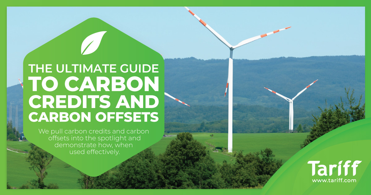 Ultimate Guide To Carbon Credits And Carbon Offsets For Business