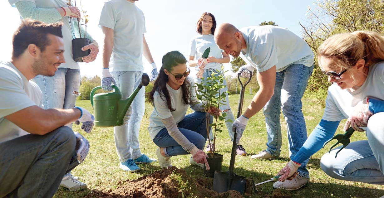 Carbon Credits For IOM Business