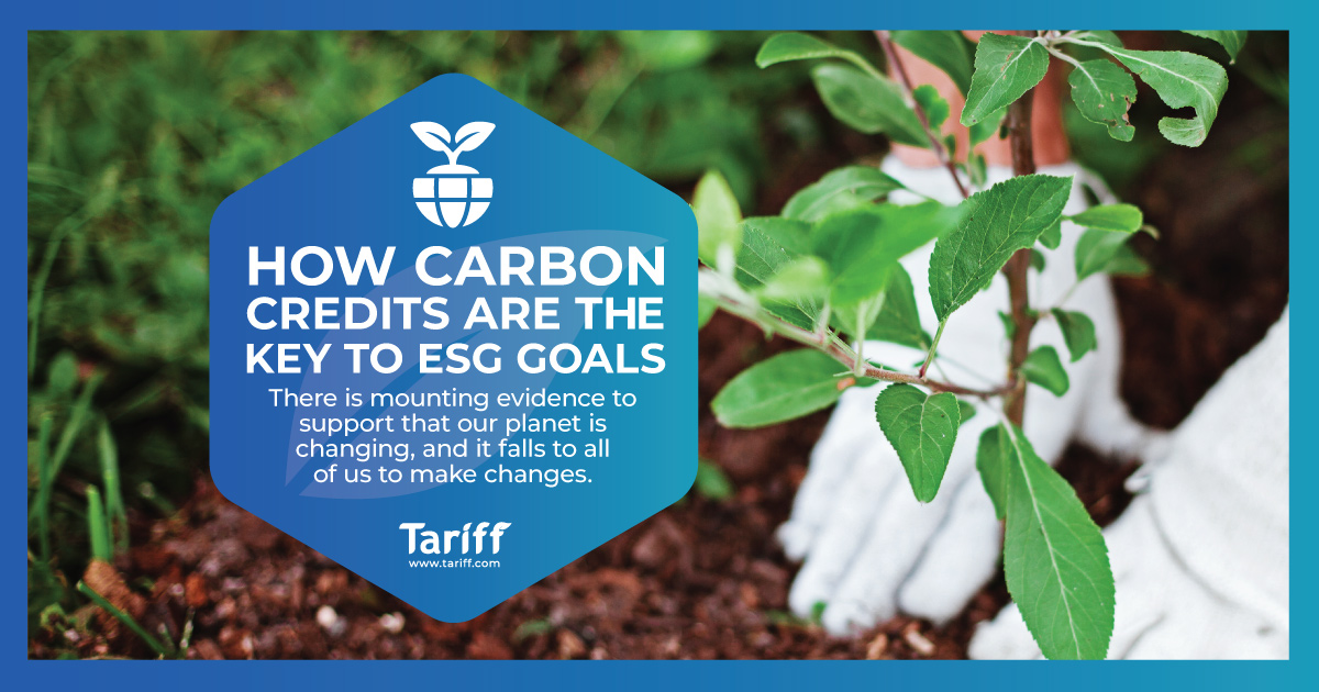 How Carbon Credits Are The Key To ESG Goals